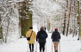 Nordic Pole Walking tips for beginners
