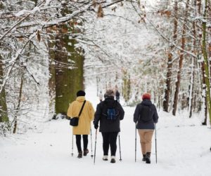 Three people Nordic pole walking in snow